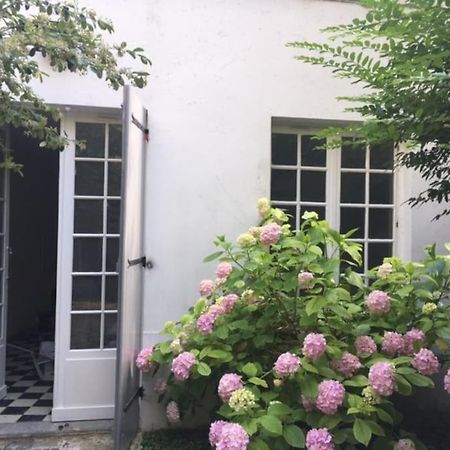 Charmante Maisonnette Jardin Triangle D'Or บอร์โด ภายนอก รูปภาพ