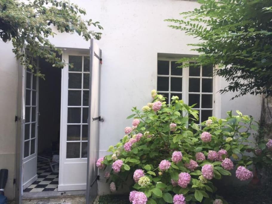 Charmante Maisonnette Jardin Triangle D'Or บอร์โด ภายนอก รูปภาพ